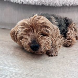 Meet your Posher, Charles